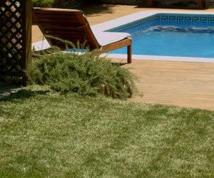 Aquagrazz a 214 PLN - Image 10