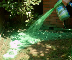 Aquagrazz a 214 PLN - Image 13