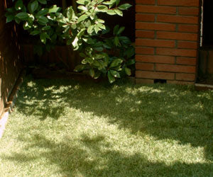 Aquagrazz a 214 PLN - Image 15