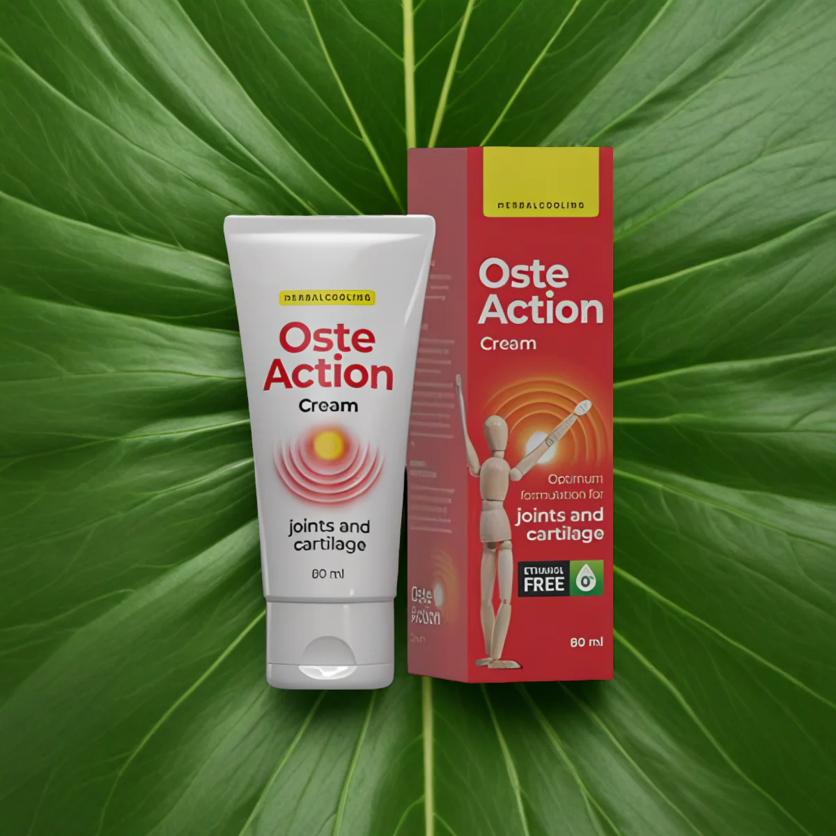 OSTEACTION - Image 2